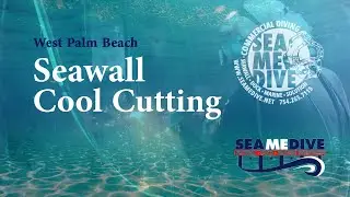 Cool Cutting in West Palm Beach