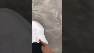 Nike Hyperadapt 1.0