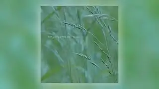 Faith Coloccia & Philip Jeck - Archaea [Audio]
