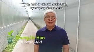 Growcoon case | Areum | Lettuce | NFT Hydroponics | Korea