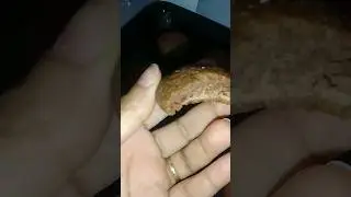 Biscoitinho De Achocolatado #shorts