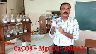 INORGANIC QUALITATIVE ANALYSIS || BORATE TEST
