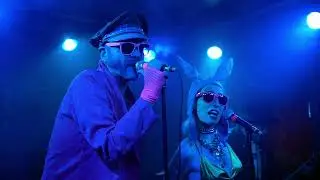 The Happiest Donkey in Barcelona ~ Flesh Tetris at The Black Heart