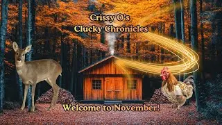 Welcome to November, Flockstars! 🧡backyardflock #fallseason #homesteading #backyardanimals #fyp