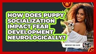 How Does Puppy Socialization Impact Fear Development Neurologically? - Obedient Dog Guide