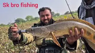 Sneak head fishing maral machli ka sikar #fishing #maral #fish #video #fish