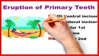 Eruption of Primary teeth - Made easy