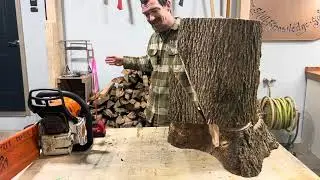 Face notch (felling plan 5 of 8)