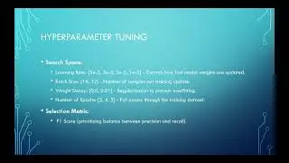 LLM_VulnHunter presentation