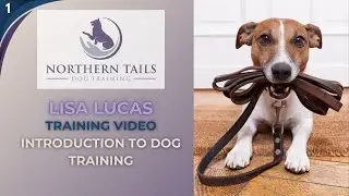 Dog Training video with Lisa Lucas |Introduction to Dog Training |  No 1 | Animal Communicator