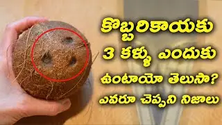 Coconut Facts - Why Coconut Has Three Eyes Here Is the Scientific Cause Behind It | Nani Reel Icon