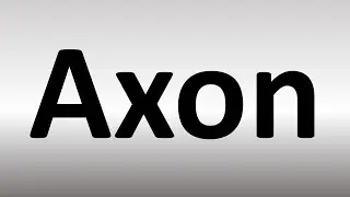 How to Pronounce Axon