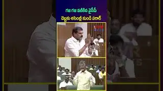 గజ గజ వణికిన వైసీపీ దెబ్బకు అసెంబ్లీ నుండి పరార్ | YCP Walkout From Assembly | CVR NEWS