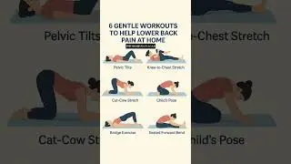 6 routine daily exercise for running students