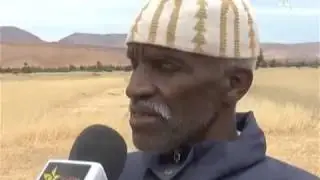 Tadighoust تاديغوست  مخلفات البرد على المحاصيل الزراعية