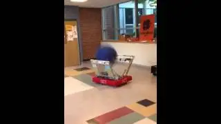 Newton Ligerbots Team
