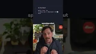The 