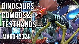 YU-GI-OH! Dinosaur Combos and Test Hands! DINOSAUR BASIC COMBO!