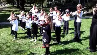 Suzuki Violins - Wyoming Fine Arts Center