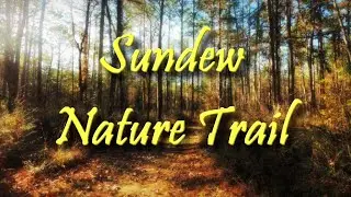 Hiking the Sundew Trail in 4K: A country walk with nature sounds