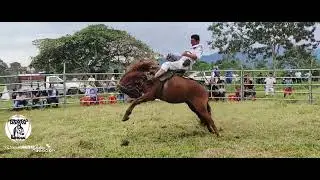 Caracoleo Rancho San Lorenzo - Rcto Cien Familias 2026