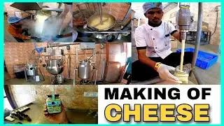 How is CHEESE Processed at Cheese Factory - Panchgani