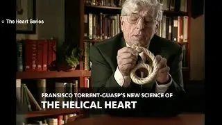 Fransisco Torrent-Guasp's New Science of The Helical Heart