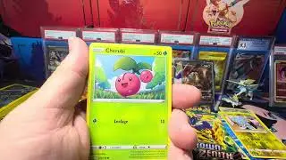 Crown Zenith & PokePatrick!!
