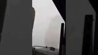 El Gato!