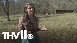 Land with Arkansas ghost towns up for sale
