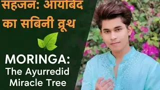 Moringa the ayurvedic miracle tree // King ayurveda high nutrition and healthy for Human Health 