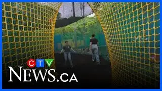 Outdoor trampoline park opening near Ottawa