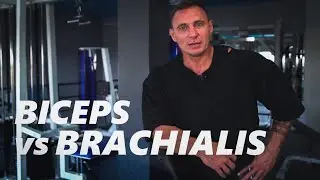 Biceps vs Brachialis