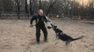 Према тренировка