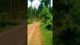 Green Top Kalam Jag Banda Road Updates | #shorts #swatvalley