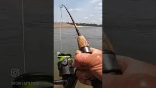 BIG unexpected catch! #arkansas  #fishing  #outdoors  #nature  #viralvideo  #fish