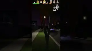 Frogge 2 Roblox Kroshik Day Game