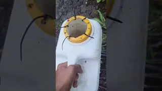 Fishing Tricks Home Made Shrimp Trap||Shrimp Trap.#shrimp#trap##Fishing#short