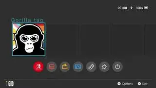 I played gorilla tag on Nintendo switch 😆😃￼