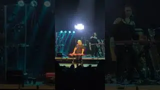 weird Al like a surgeon