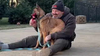 Как вы проводите время со своей собакой?