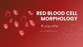 Red Blood Cells Morphology in Urdu| Abnormal stages like variation in size, color and shape of RBCs