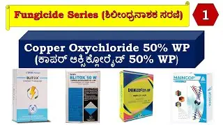 COC- Copper Oxychloride 50% WP Fungicide | ಕಾಪರ್ ಆಕ್ಸಿಕ್ಲೋರೈಡ್ 50%WP | Fungicide Series | EP-1