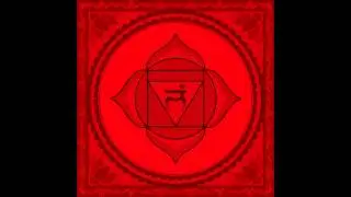 THE ROOT CHAKRA - [Evolution]