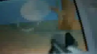 halo ds