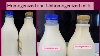 Do you know the difference between Homogenized and unhomogenized milk