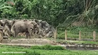 Carol's Zoo Arrival