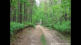 Niemirów Adamowo - Podlasie