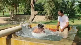 desi amazing boys swimming pool Jumping desi village life enjoy boys #tubewell 🇩🇿🙀🙀🙀🖐️#special Like