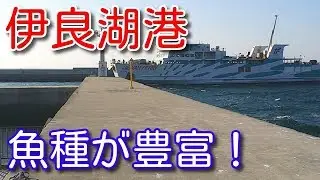 【渥美半島】伊良湖港の釣り場ポイントを紹介！大型のマゴチも狙えるよ【愛知釣り場】